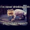 ImageUploadedByTapatalk1447821651.903393.jpg