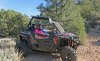 15 Rzr 900S.jpg