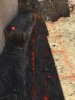 Image1461364606.669287.jpg