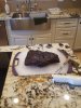 20160508_175258.jpg