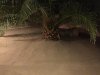 Image1464333248.249718.jpg