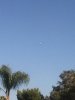 IMG_5064.jpg