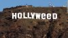 hollyweed.jpg