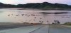 diamond-valley-boat-ramp-702x336.jpg