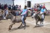 33C9582900000578-3571066-Events_As_well_as_the_races_pictured_which_animal_rights_campaig-a-9_14.jpg