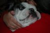 DSC_0155.jpg