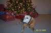 100_1069.jpg