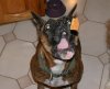 IMG_175.jpg