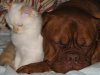 Hobbs and Lulu.jpg