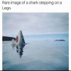 Screensho(3).jpg