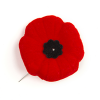 legion-history-of-the-poppy-wbg-resized.png