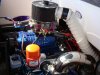 DSC02017.JPG