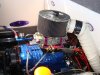DSC02019.JPG