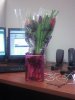 flower pic.jpg