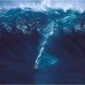 Big Wave Dave